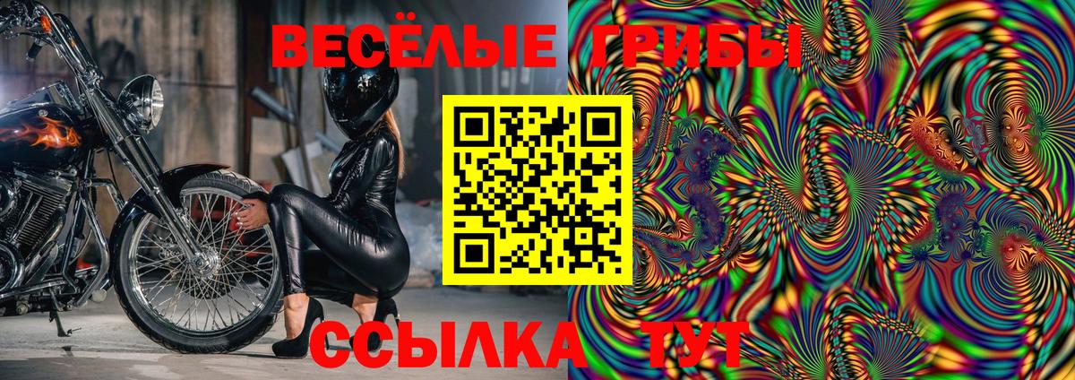 Псилоцибиновые грибы Psilocybine cubensis  Вход с VPN  Шебекино 